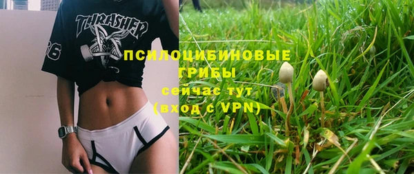скорость mdpv Богородицк